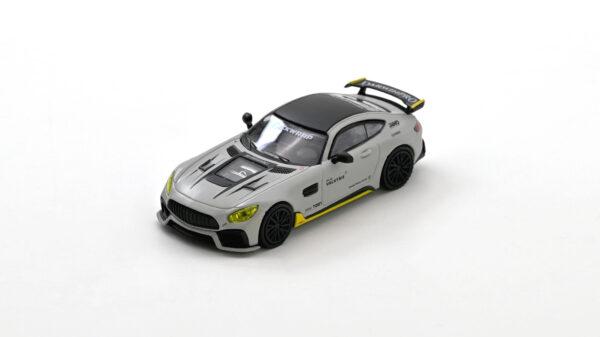 HEC26 AMG GT DP 1